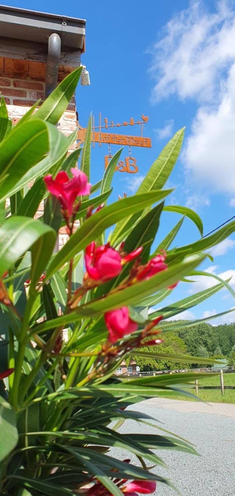 Bed and Breakfast Hof Ter Dreef Meise Экстерьер фото